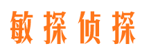 西沙寻人公司